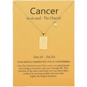 14k Gold Plated Zodiac Sign with Tarot Card Pendant Necklace Birthday Gift for